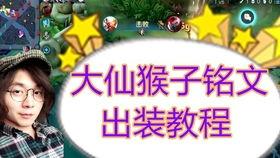 张大仙爆料猴子视频,猴子视频背后的惊人真相